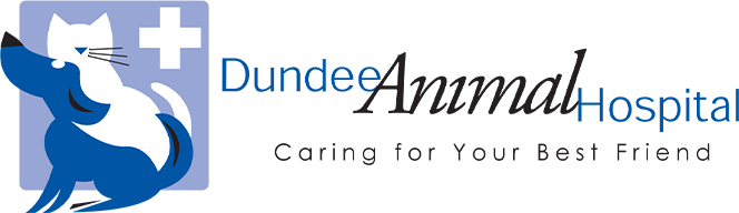 Dundee-Logo